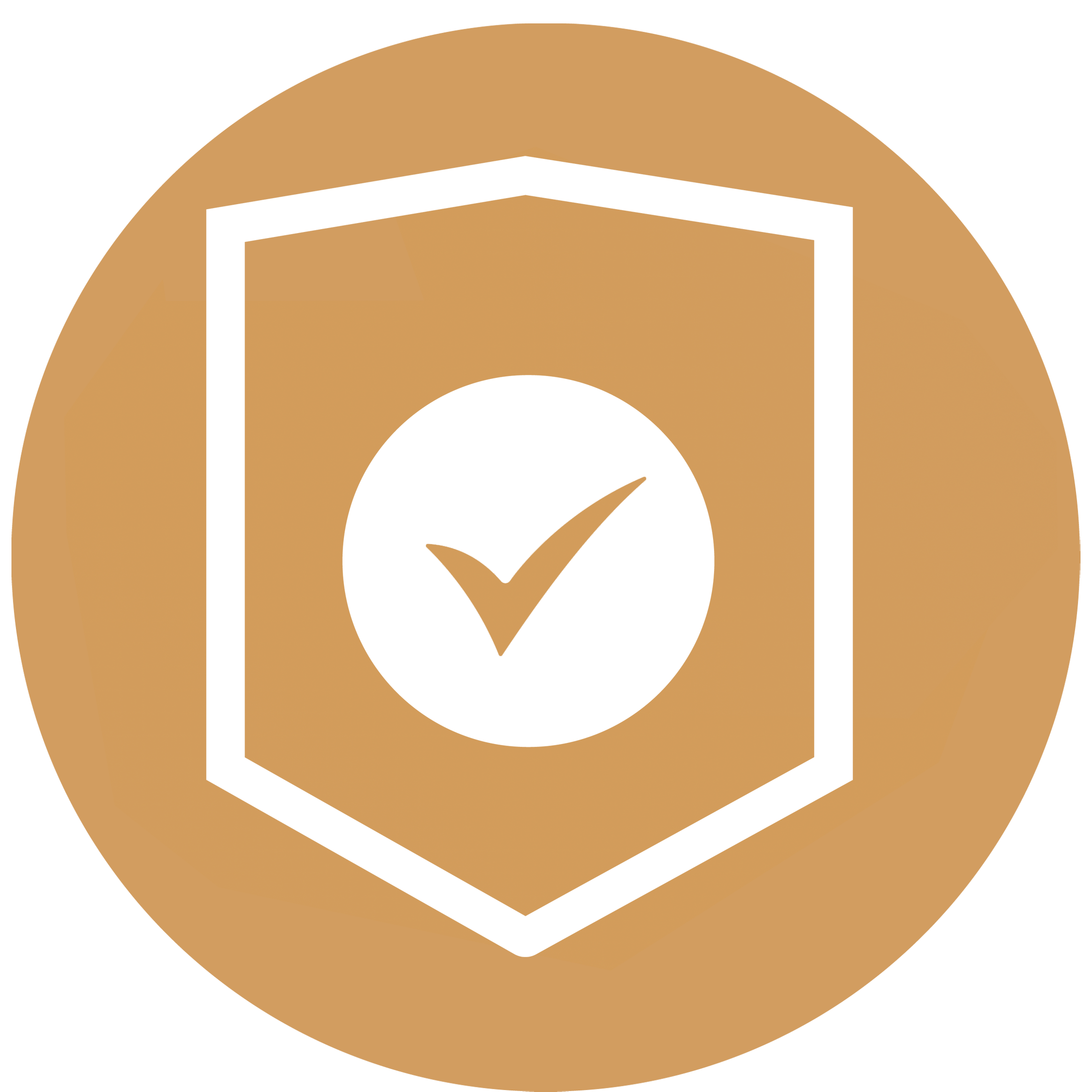 Responsibility Icon